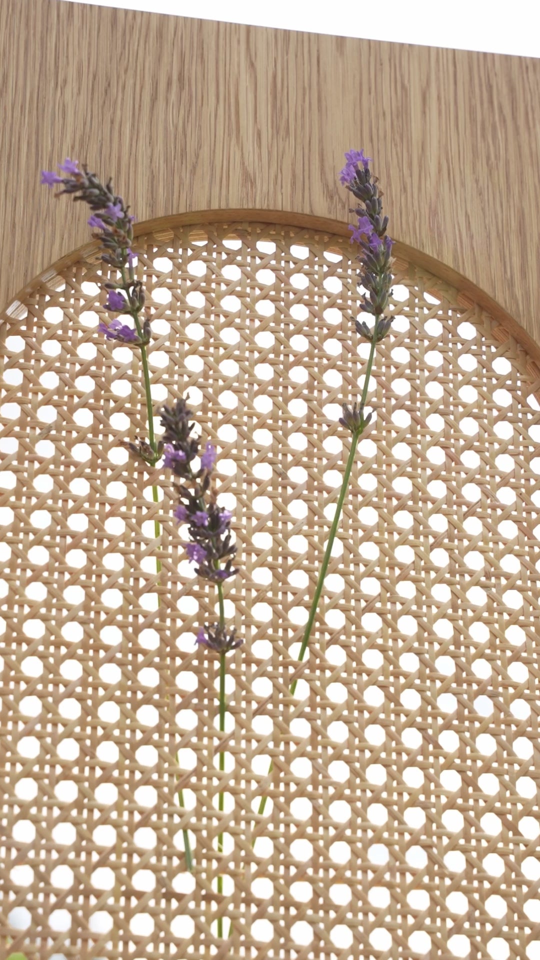 Video laden: Highboard Moon